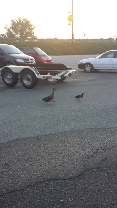 Little River Park Campground Picture 10