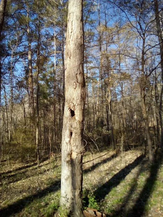 Lake Sinclair Recreation Area Picture 7