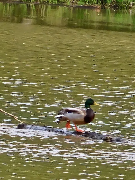 Lake Sinclair Recreation Area Picture 10