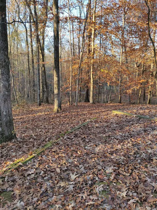 Lake Sinclair Recreation Area Picture 9