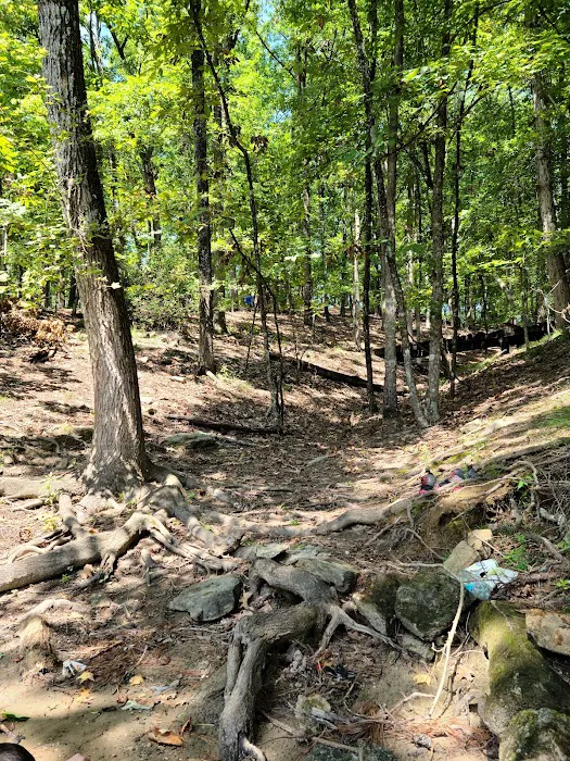 Shoal Creek Campground Picture 10