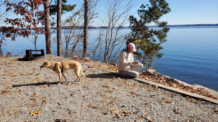 Shady Grove Campground Picture 1