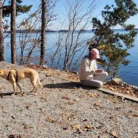 Shady Grove Campground ico