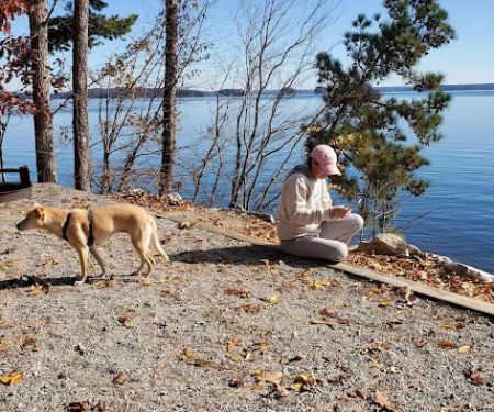Shady Grove Campground