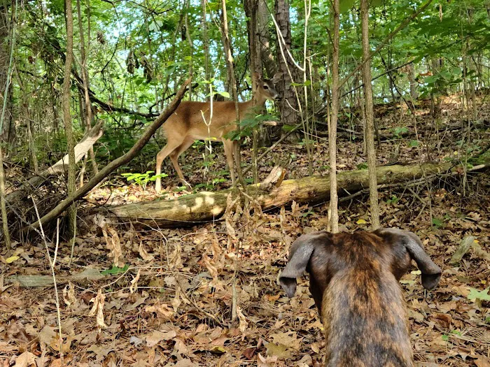 Shady Grove Campground Picture 6