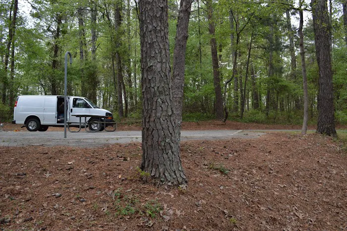 Bald Ridge Creek Campground Picture 1