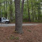 Bald Ridge Creek Campground