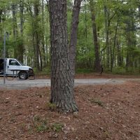 Bald Ridge Creek Campground ico