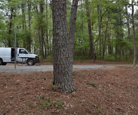 Bald Ridge Creek Campground