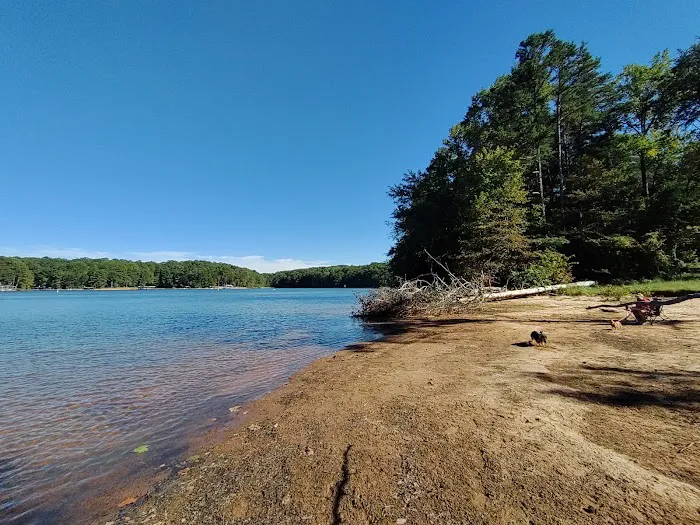 Bald Ridge Creek Campground Picture 3