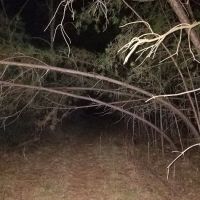 Campgrounds for Dawsonville Forest WMA ico