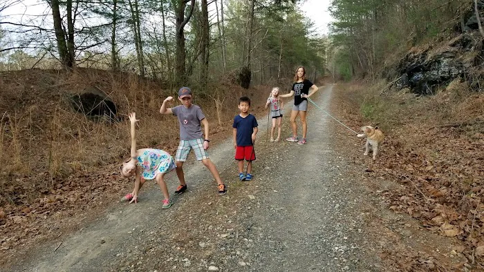 Campgrounds for Dawsonville Forest WMA Picture 6