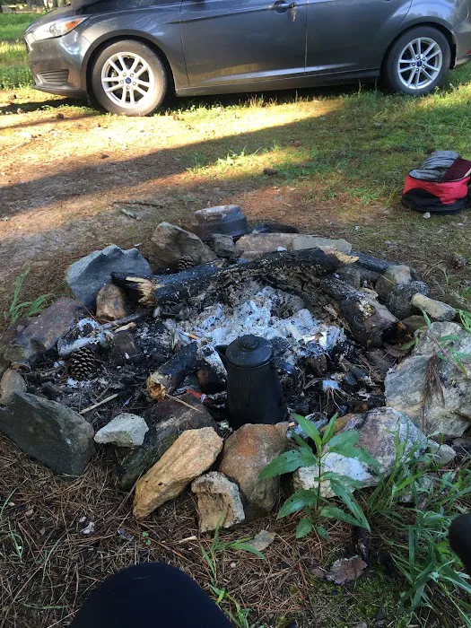 Campgrounds for Dawsonville Forest WMA Picture 4