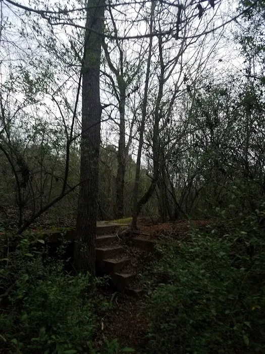 Campgrounds for Dawsonville Forest WMA Picture 5