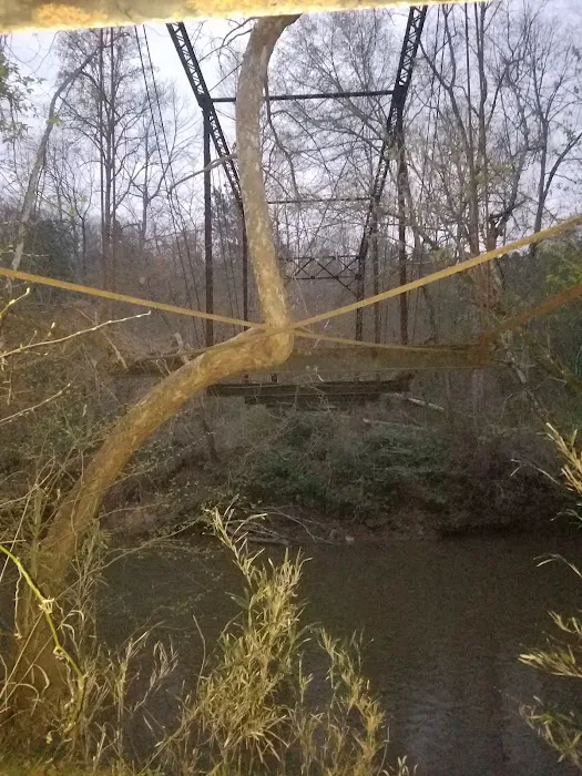 Campgrounds for Dawsonville Forest WMA Picture 8