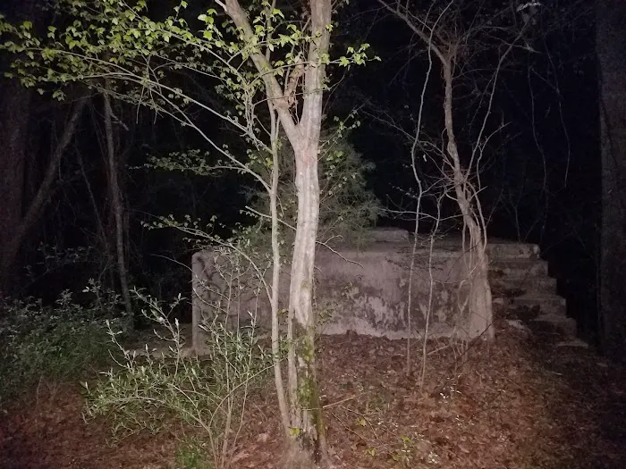 Campgrounds for Dawsonville Forest WMA Picture 7