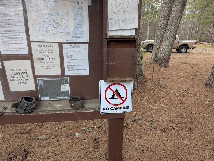 Campgrounds for Dawsonville Forest WMA Picture 9