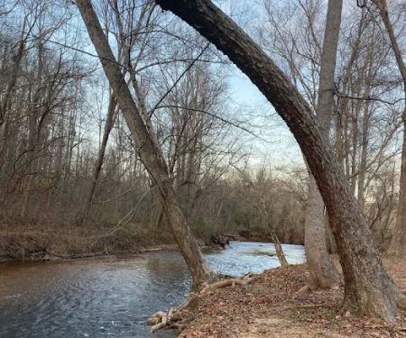 Etowah River Campground