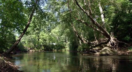 Etowah River Campground Picture 7