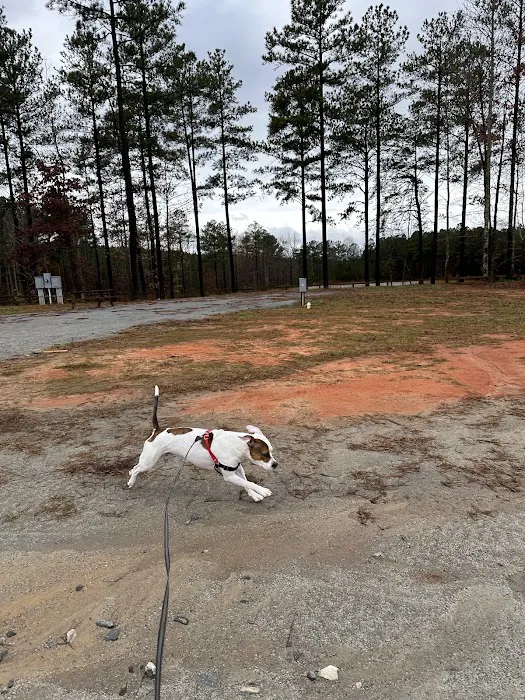 The Campgrounds at Iron Mountain Resort. Picture 5