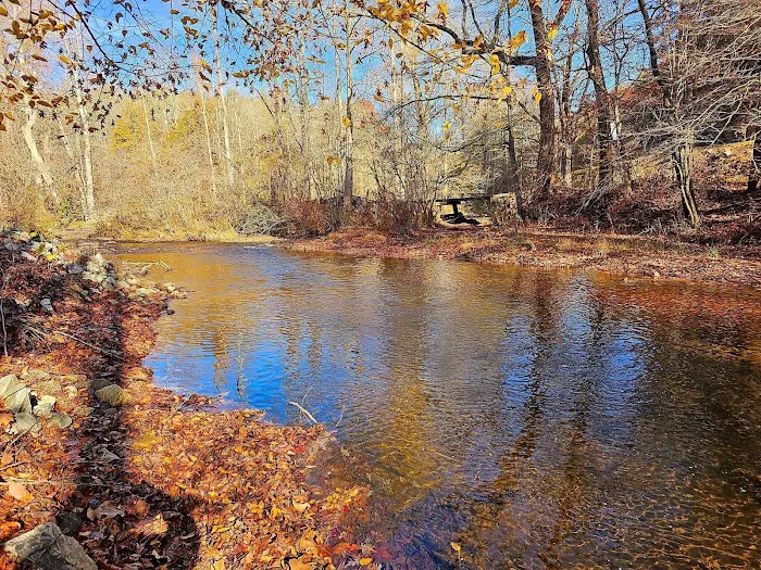 Turner Campsites Picture 9