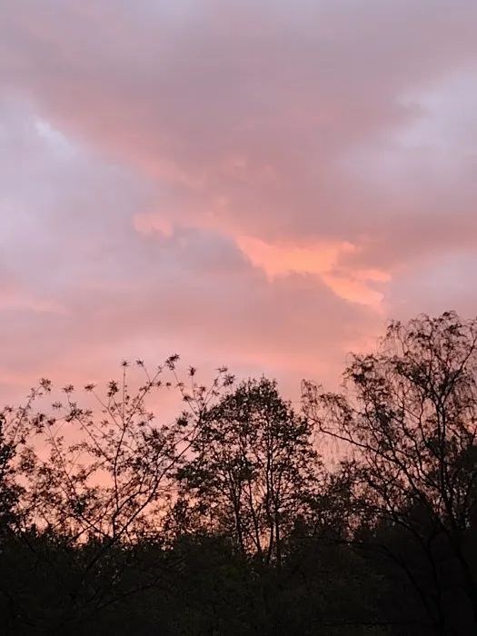 Mountain View Campground Picture 2