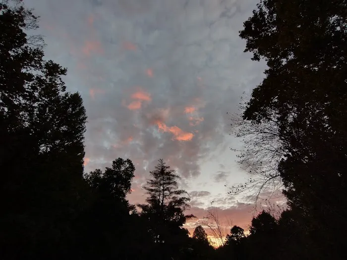 Mountain View Campground Picture 3