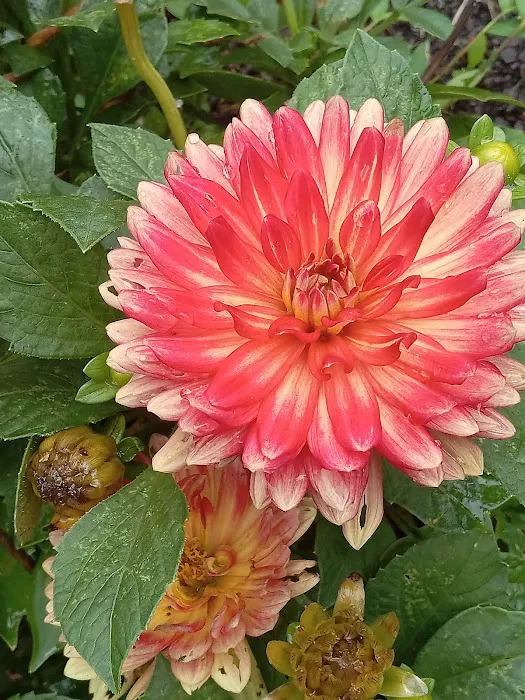 Mountain View Campground Picture 4