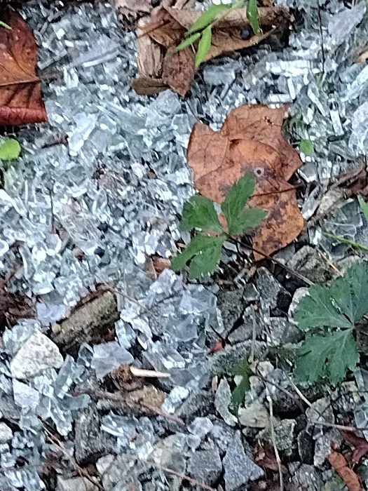 Mountain View Campground Picture 10