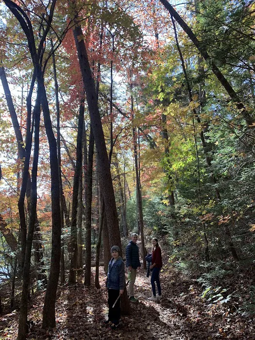 Dockery Lake Recreation Area Picture 1