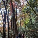 Dockery Lake Recreation Area