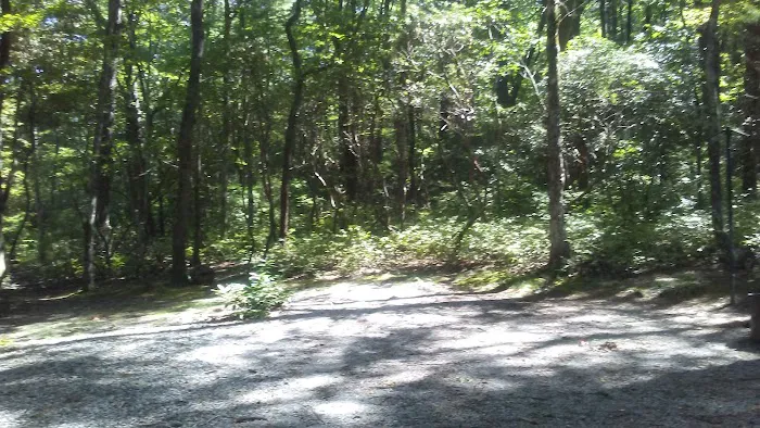 Dockery Lake Recreation Area Picture 4