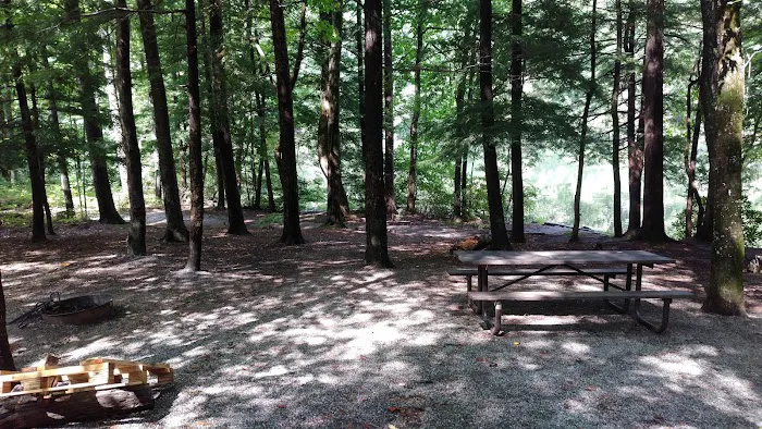 Dockery Lake Recreation Area Picture 2