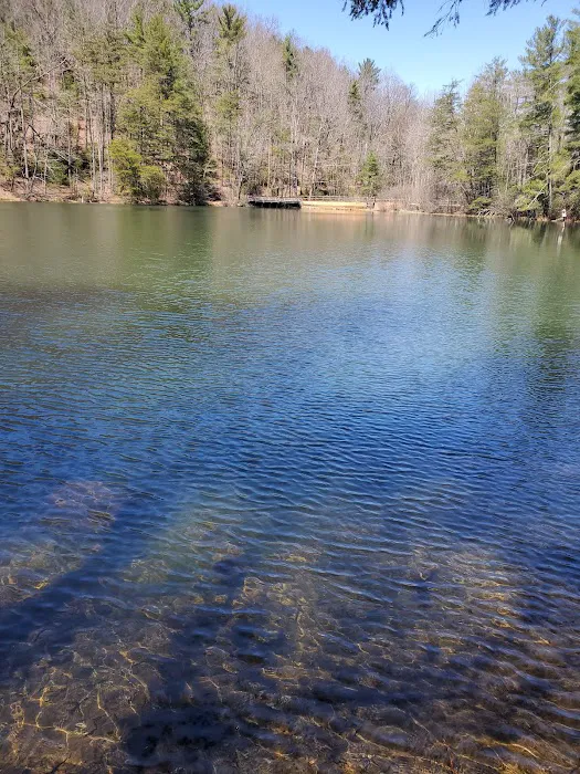 Dockery Lake Recreation Area Picture 3