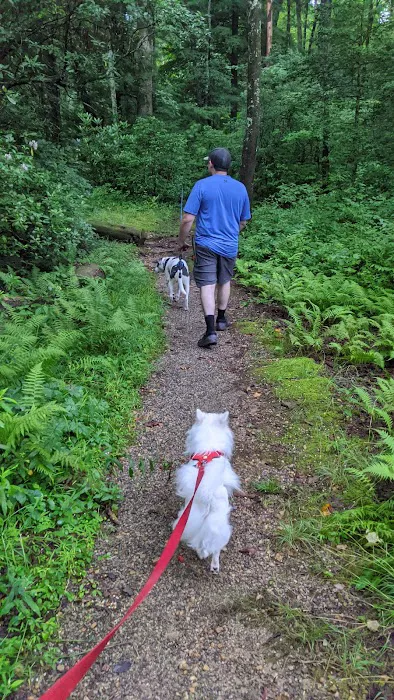 Dockery Lake Recreation Area Picture 9