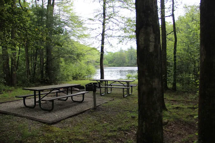 Dockery Lake Recreation Area Picture 8