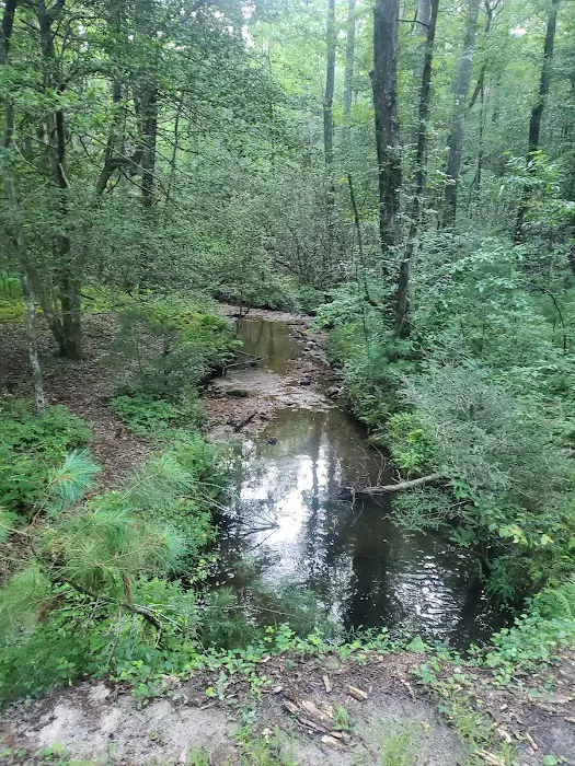 Dockery Lake Recreation Area Picture 10