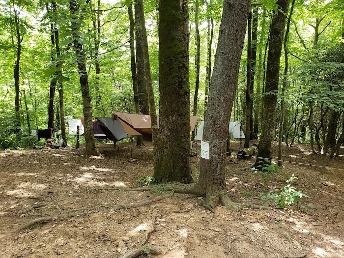Gooch Mountain Shelter Picture 2