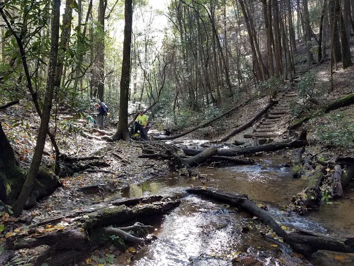 Gooch Mountain Shelter Picture 4