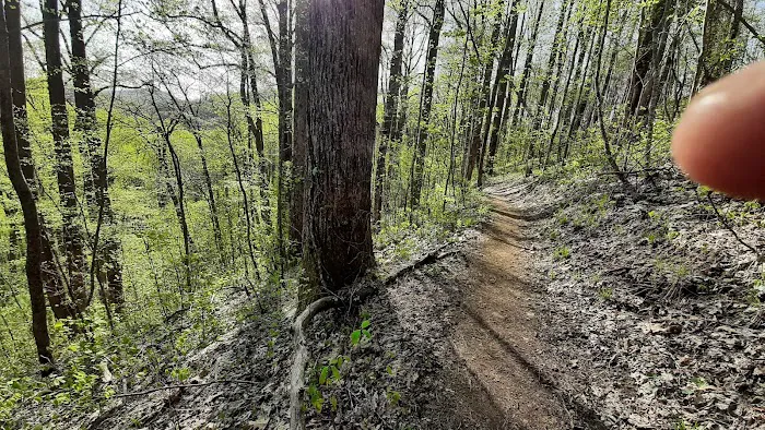Gooch Mountain Shelter Picture 6