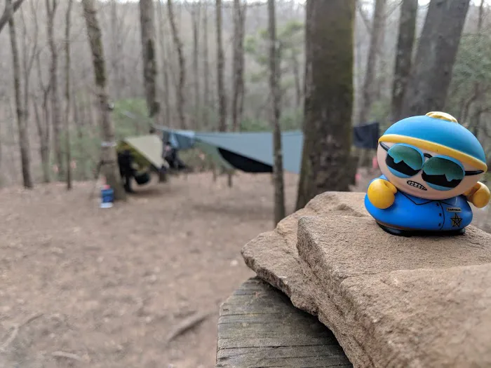 Gooch Mountain Shelter Picture 9