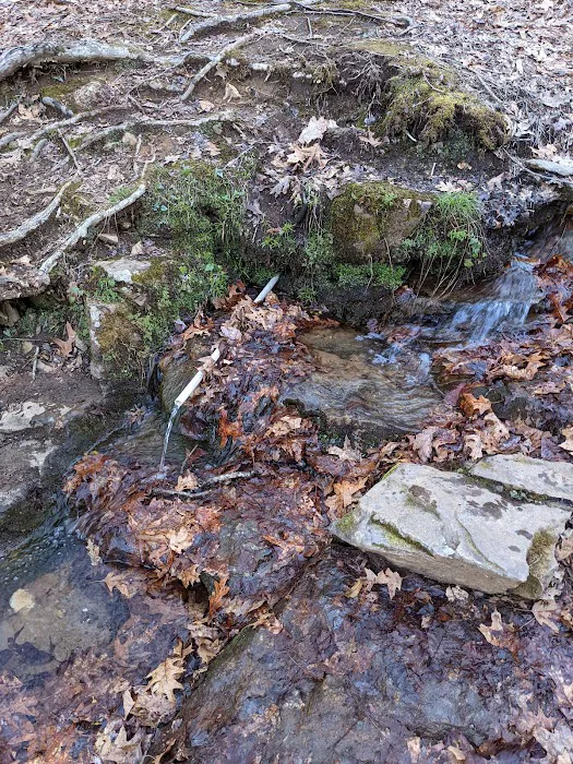 Gooch Mountain Shelter Picture 10
