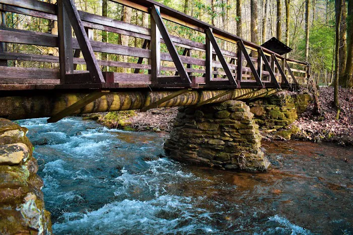 DeSoto Falls Recreation Area Picture 1