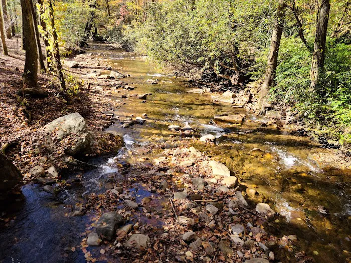 DeSoto Falls Recreation Area Picture 3