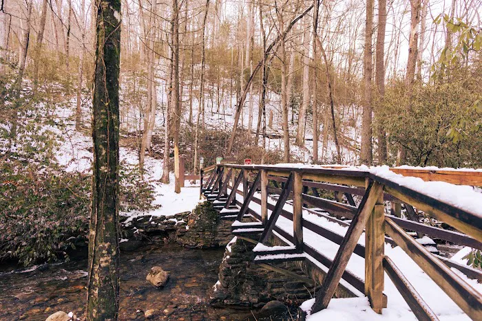 DeSoto Falls Recreation Area Picture 6