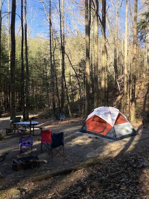 DeSoto Falls Recreation Area Picture 8