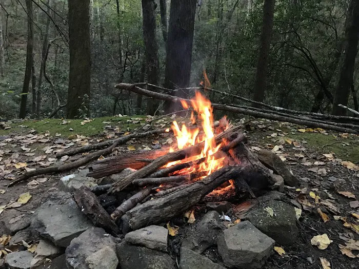 Justus Creek Campsites Picture 3