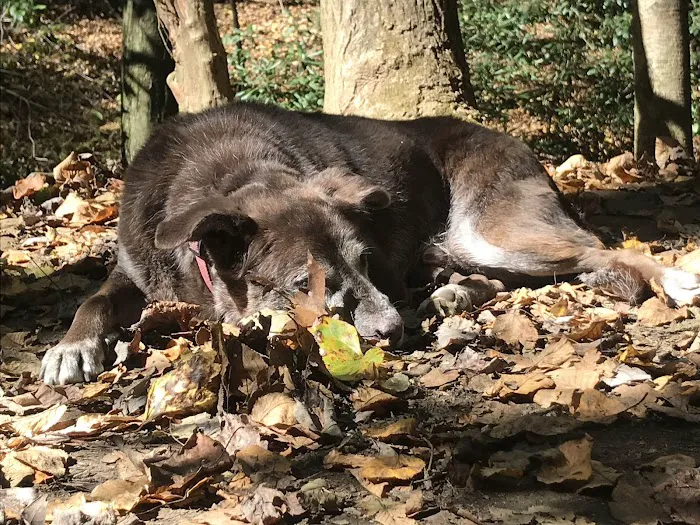 Justus Creek Campsites Picture 2