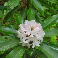 Justus Creek Campsites ico