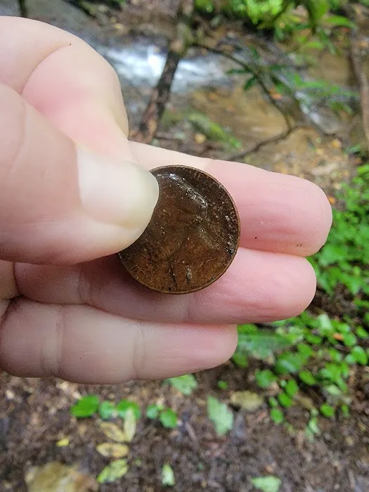 Justus Creek Campsites Picture 4